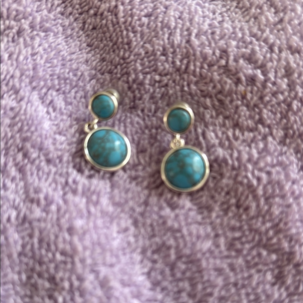 Chaps Turquoise and Silver Double-Circle Earrings